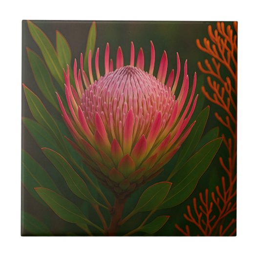 Roze Protea Bloem Exotische Bloei Tegeltje (Voorkant)