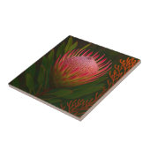 Roze Protea Bloem Exotische Bloei Tegeltje (Zijkant)