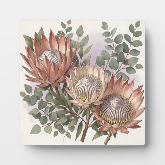 Roze Protea Eucalyptus Botanische Compositie  Fotoplaat (Voorkant)