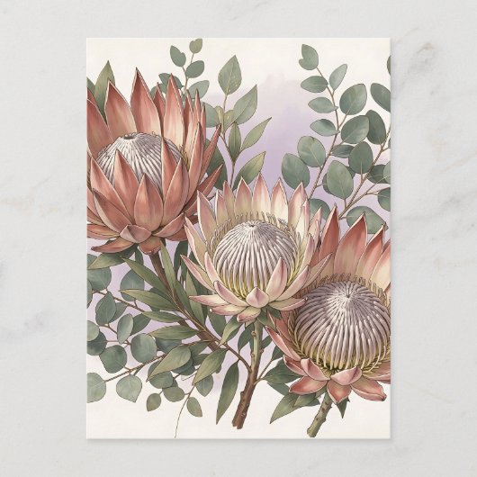 Roze Protea Eucalyptus Botanische Schikking  Briefkaart (Voorkant)