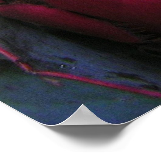 roze proteïne Poster (Hoek)