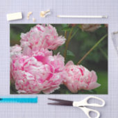 roze pruimen foto tissuepapier (Craft)