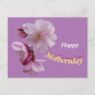 Roze Prunus Bloemen Gelukkige Verjaardag Ansichtka Briefkaart