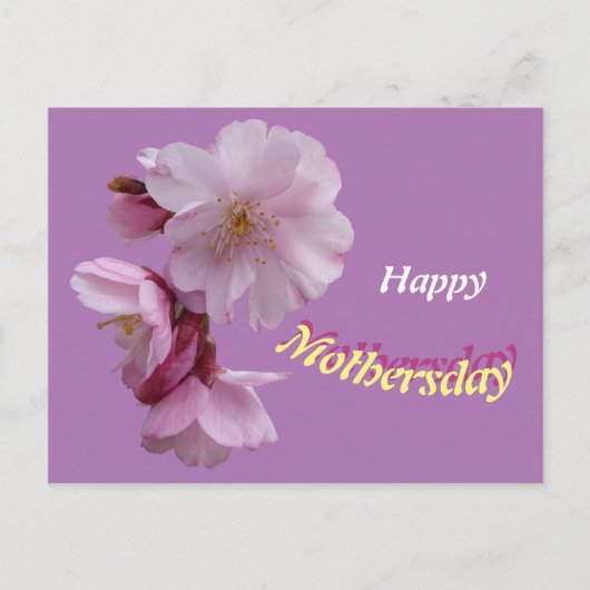 Roze Prunus Bloemen Gelukkige Verjaardag Ansichtka Briefkaart (Voorkant)