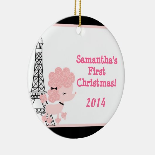 Roze puinhoop in het Ornament van de Aangepersonal (Rechts)