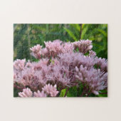 Roze Pye Onkruid Lens Legpuzzel (Horizontaal)
