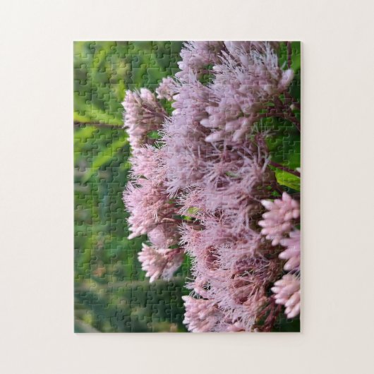 Roze Pye Onkruid Lens Legpuzzel (Verticaal)