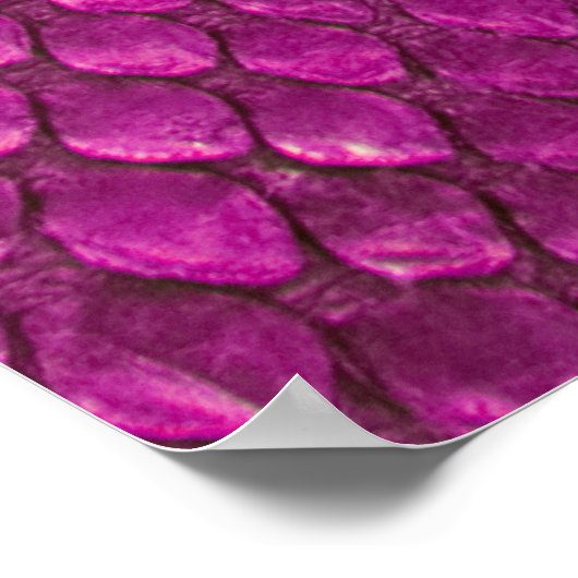 Roze Python: Slangenhuid textuur. Poster (Hoek)