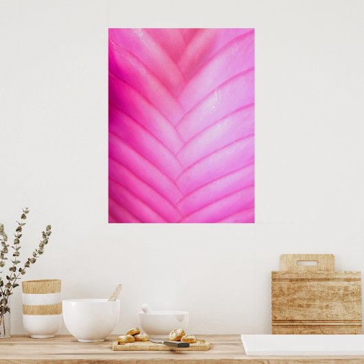 Roze Quill Bromeliad Poster (Keuken)