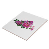 Roze Rambler Roos Tegeltje (Zijkant)