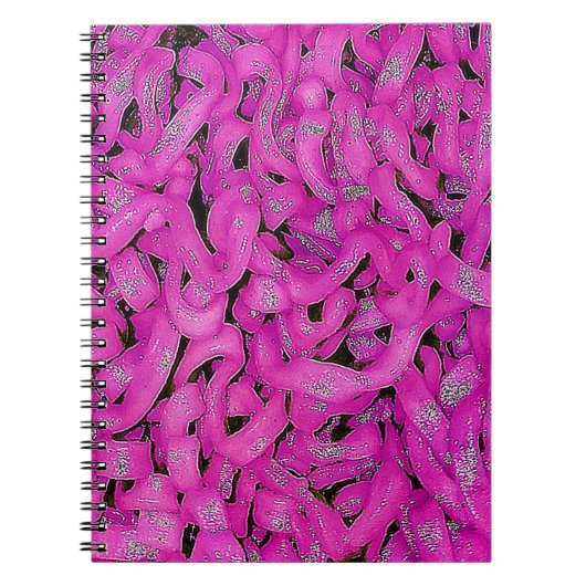 Roze Ramen Notitieboek (Voorkant)