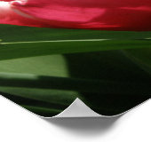 Roze rand Tulp afdrukken Poster (Hoek)