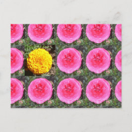 Roze Ranunculus en Gele Franse Goudsbloem Briefkaart