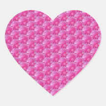 Roze Ranunculus – Modern bloemmotief