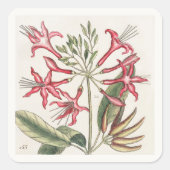 Roze Rechtopstaande Kamperfoelie Bloem Sticker Vel (Voorkant)