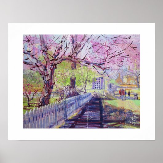 Roze Redbud Bloesem Bij Williamsburg Virginia Poster (Voorkant)