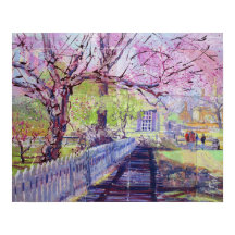 Roze Redbud Bloesem Bij Williamsburg Virginia