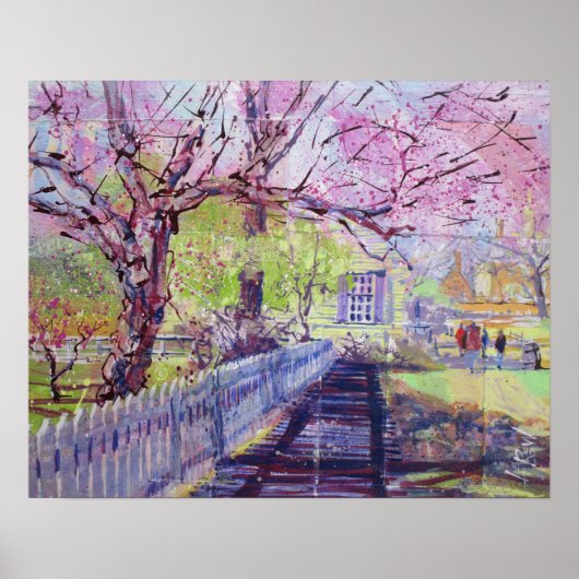 Roze Redbud Bloesem Bij Williamsburg Virginia Poster (Voorkant)