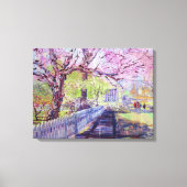 Roze Redbud Boom Bloeit In Williamsburg Virginia Canvas Afdruk (Voorkant)