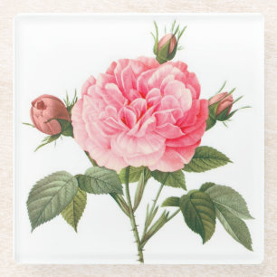 Roze Redoute Roos Bloemen Glas Onderzetter