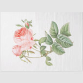 Roze Redouté  Roos Tissuepapier (Voorkant)