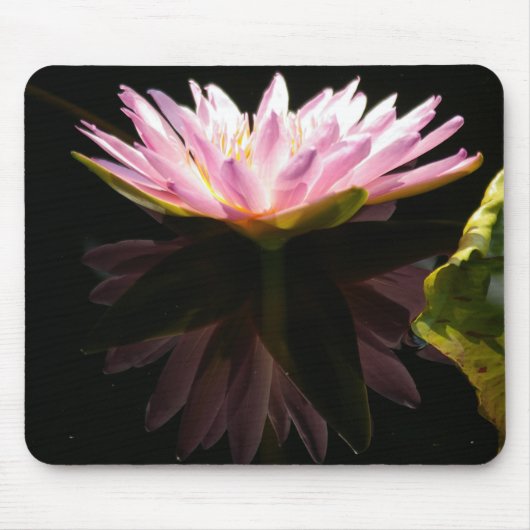 Roze reflectie Lotus Waterlily Muismat (Voorkant)