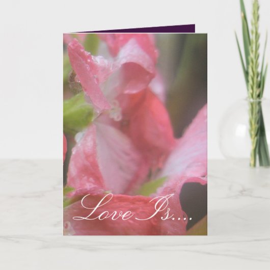 Roze Regen Kaart (Voorkant)