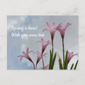 Roze Regen Lilies Springtime Ontbrekend u Briefkaart (Voorkant)