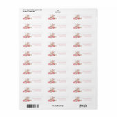 Roze retouradresstickers voor bruidstuinfeest etiket (Full Sheet)