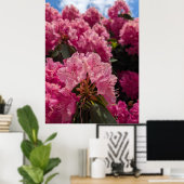 Roze Rhodeodendron Bloesems in Lentezonneschijn Poster (Thuiskantoor)
