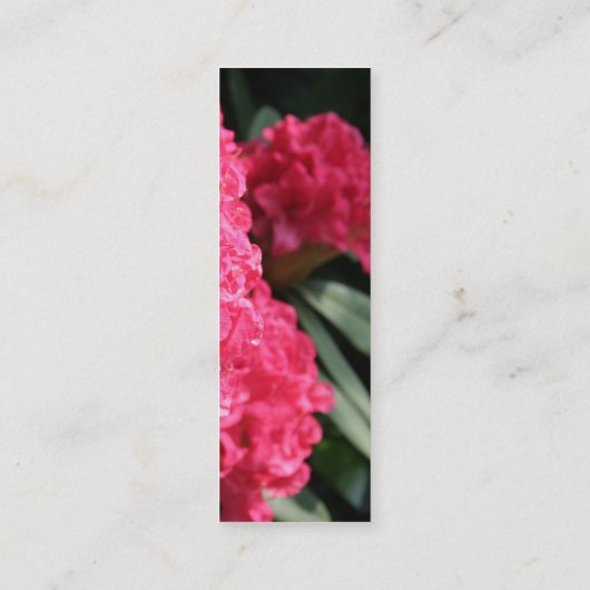 Roze Rhododendron (1) Mini Visitekaartje (Achterkant)