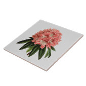 Roze Rhododendron Aangepaste kleurenafbeelding 6x6 Tegeltje (Zijkant)
