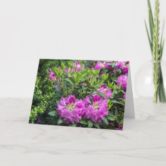Roze Rhododendron Blank Note Card Kaart