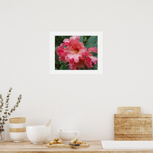 Roze Rhododendron Bloem Bloemfotografie Poster (Keuken)