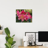 Roze Rhododendron Bloesem Bloemen Poster (Thuiskantoor)