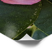 Roze Rhododendron Bloesems Bloemstuk Perfect Poster (Hoek)