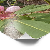 Roze Rhododendron Blooms Floral Foto Afdruk (Hoek)