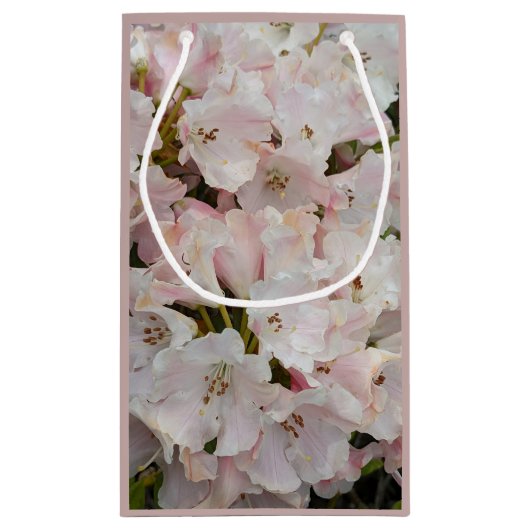 Roze Rhododendron Blooms Floral Klein Cadeauzakje (Achterkant)