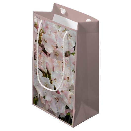 Roze Rhododendron Blooms Floral Klein Cadeauzakje (Voorkant Gekanteld)