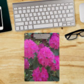 Roze Rhododendron Blooms Floral Klembord