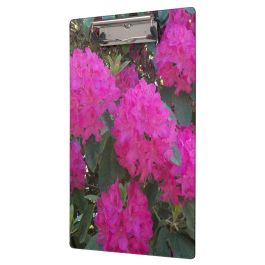 Roze Rhododendron Blooms Floral Klembord (Links)