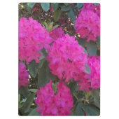 Roze Rhododendron Blooms Floral Klembord (Achterkant)