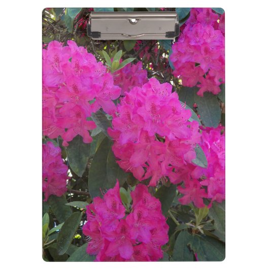 Roze Rhododendron Blooms Floral Klembord (Voorkant)