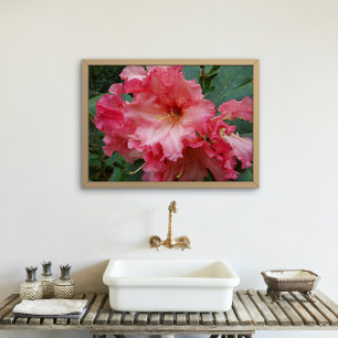Roze Rhododendron Blooms Floral Perfect Poster