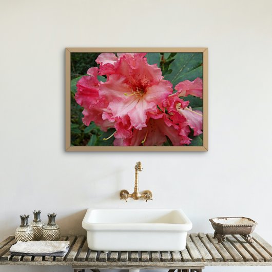 Roze Rhododendron Blooms Floral Perfect Poster