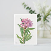 Roze Rhododendron Botanische Illustratie Briefkaart (Staand voorkant)