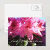 roze rhododendron briefkaart (Voorkant / Achterkant)