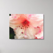 roze rhododendron canvas afdruk (Voorkant)