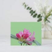 Roze Rhododendron Close Up Cust. BG DIY-Briefkaart Briefkaart (Staand voorkant)