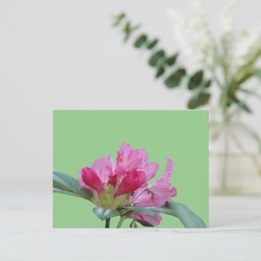Roze Rhododendron Close Up Cust. BG DIY-Briefkaart Briefkaart (Staand voorkant)